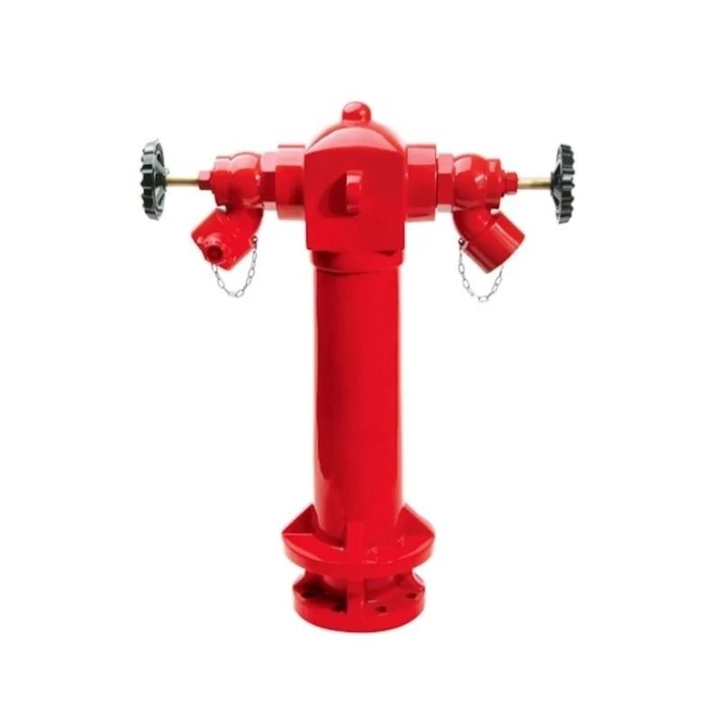 Fire Hydrant Valve Complete with 2-Way Inlet Valves and 2-Way Outlets (2.5”)